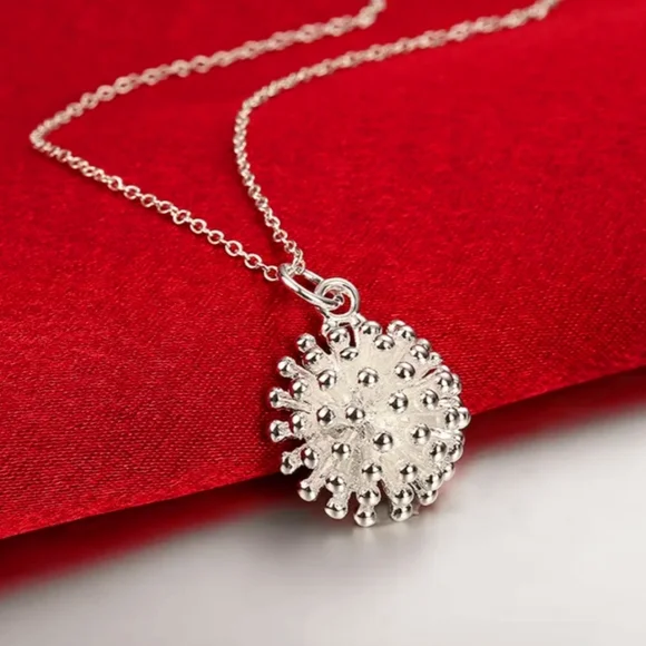 Silver Necklace - Picture 3 of 5